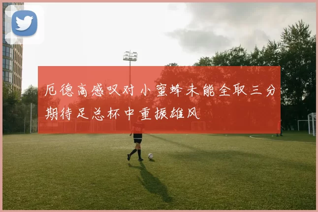 厄德高感叹对小蜜蜂未能全取三分期待足总杯中重振雄风