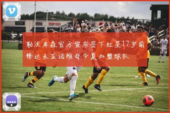 勒沃库森官方宣布签下红星17岁前锋达米亚诺维奇今夏加盟球队